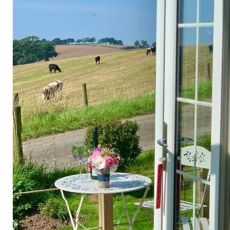 The Mad Hatter's Shepherd's Hut Chalet *