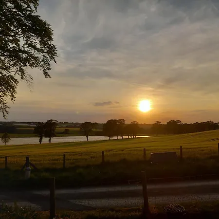 Chalet The Mad Hatter's Shepherd's Hut Carlisle (Cumbria)