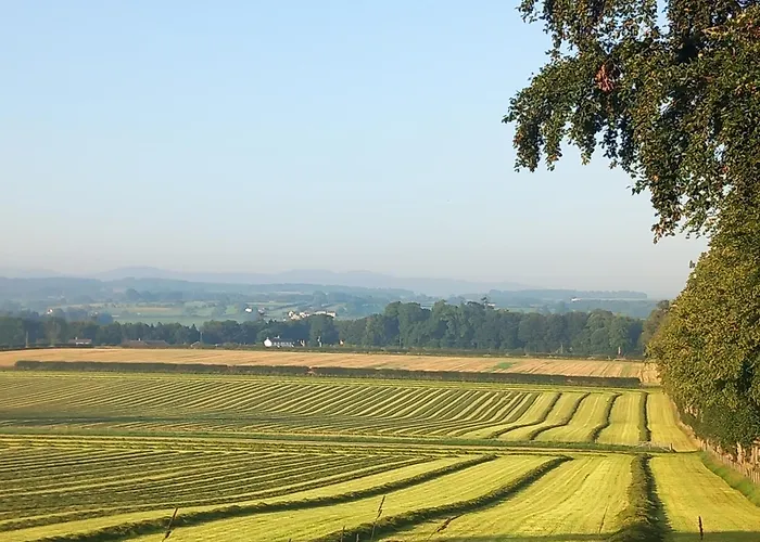 The Mad Hatter's Shepherd's Hut * Carlisle (Cumbria)