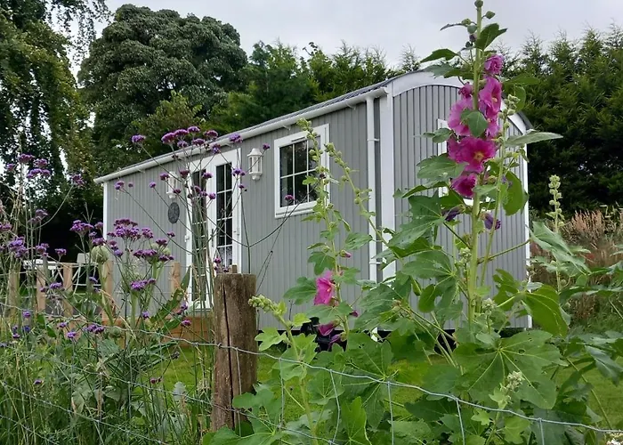 Alpehytte The Mad Hatter's Shepherd's Hut